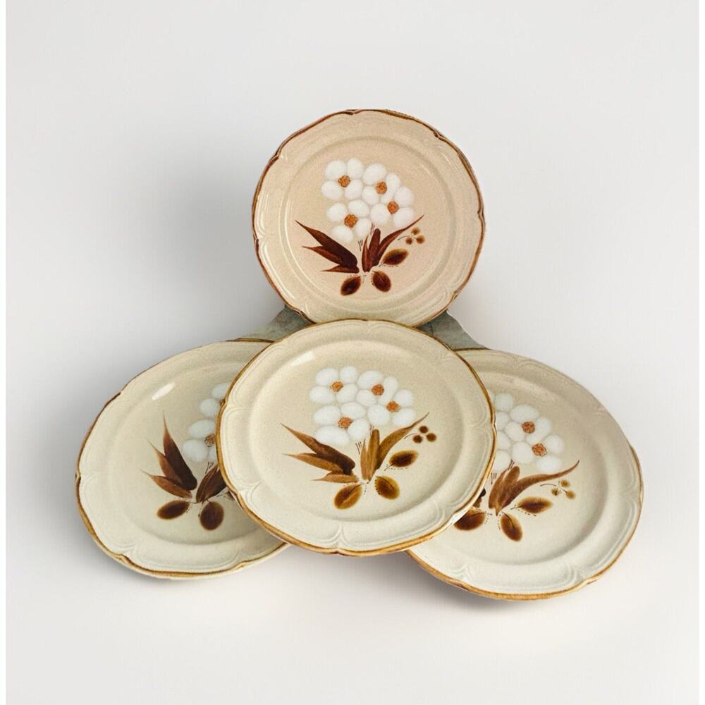 4 Vintage The Classics Hearthside Stoneware Castlewood 10.5” Dinner Plates Japan